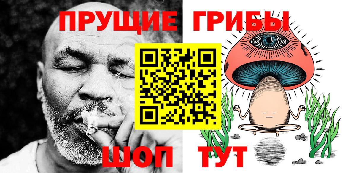 Галлюциногенные грибы GOLDEN TEACHER Гусь-Хрустальный