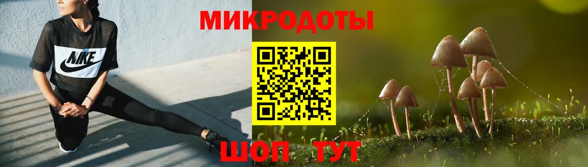 Псилоцибиновые грибы GOLDEN TEACHER  Вход с VPN  Гусь-Хрустальный 